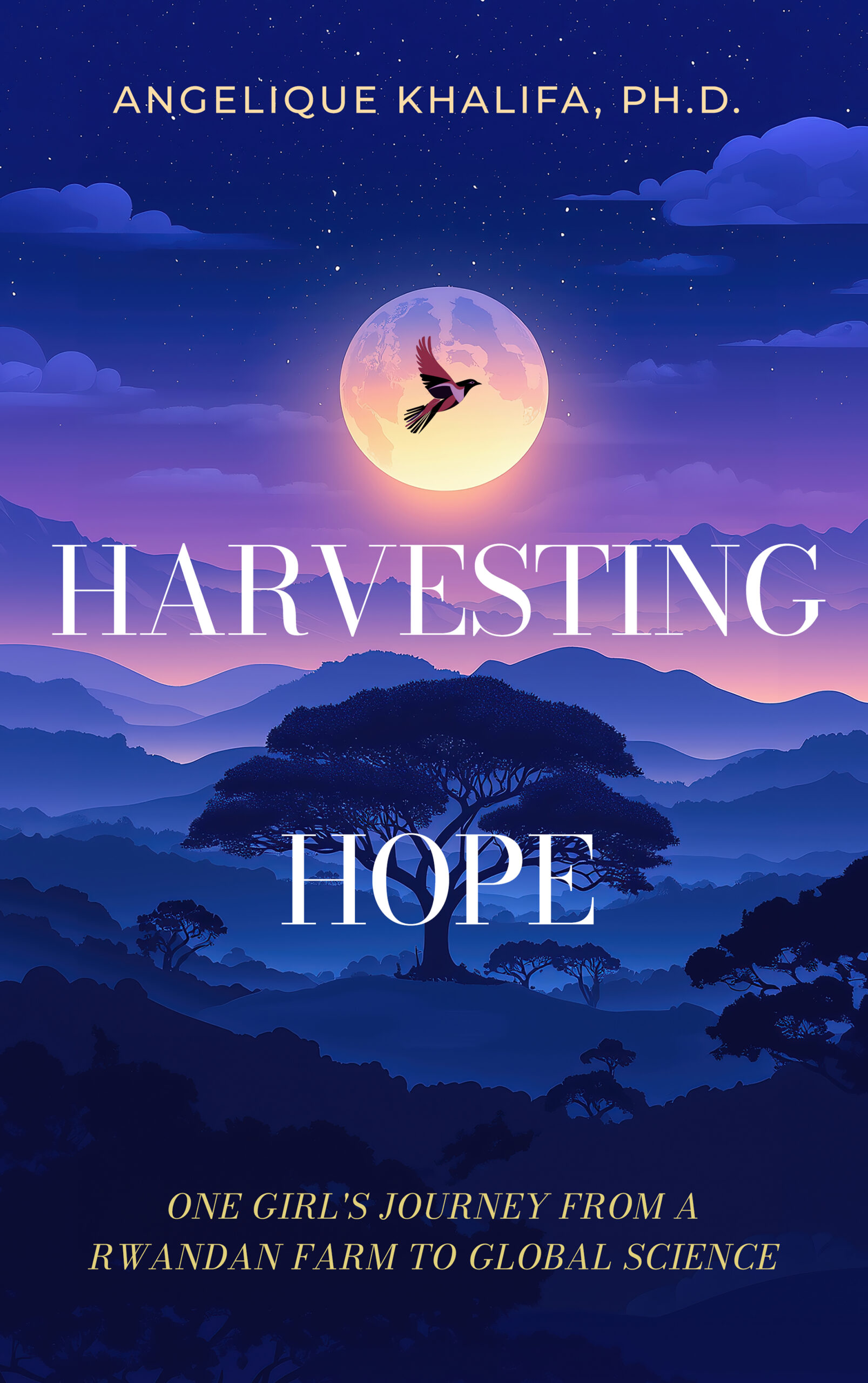 Cosechando la esperanza: una reflexión de fin de año