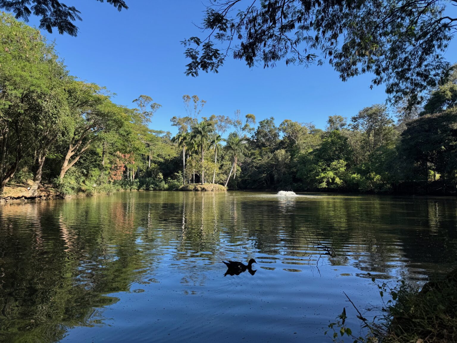 Red de los Sueños: Turismo Inclusivo en Socorro, Brasil